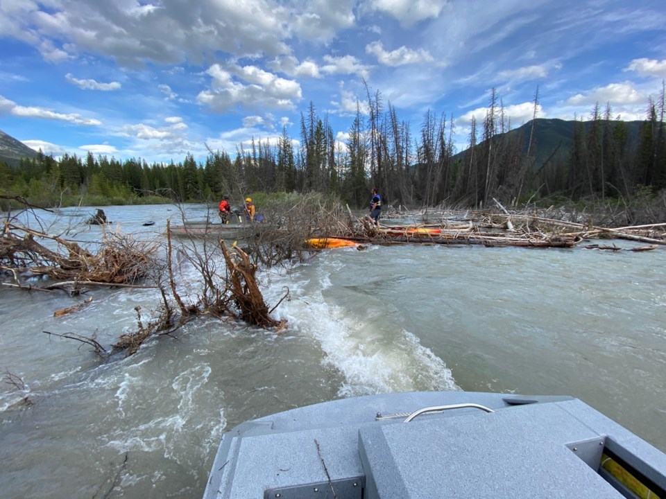 Log jam-strainer