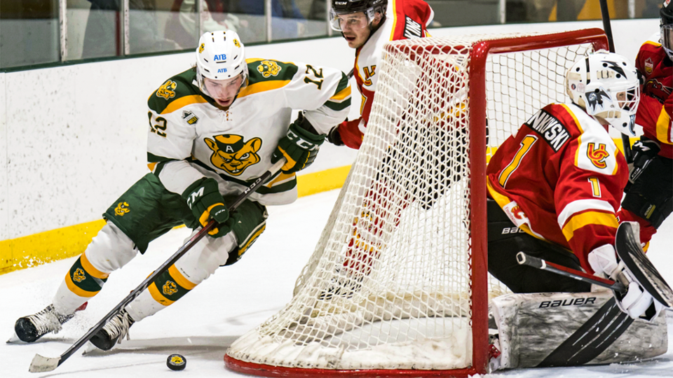 Noah Philp. UNIVERSITY OF ALBERTA GOLDEN BEARS PHOTO