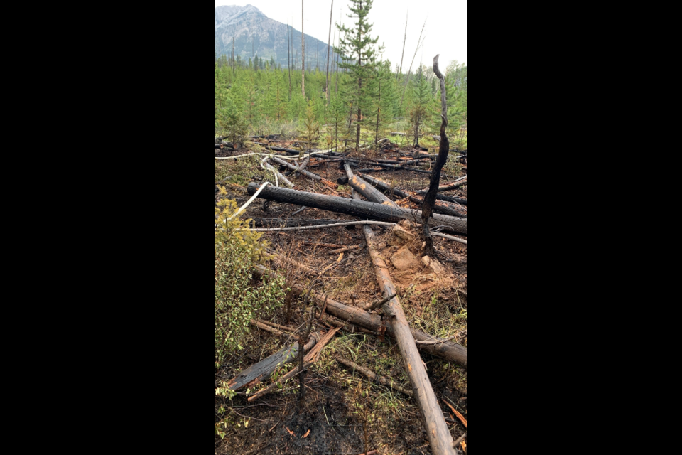Carrot Creek fire in Banff National Park on Aug. 10. PARKS CANADA PHOTO
