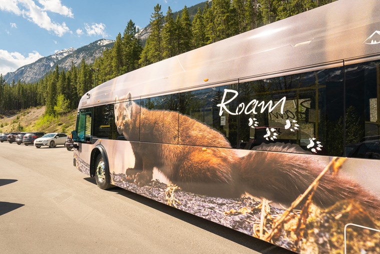 Roam-Transit-electric-buses-Nick-Fitzhardinge-low-res-17