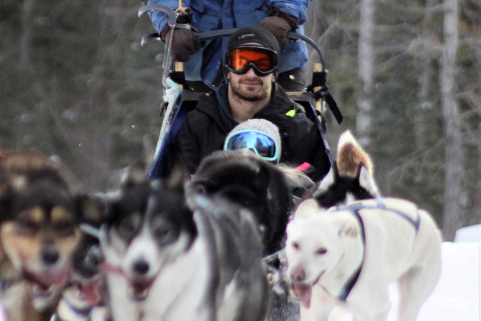Howling husky sales sled dog tours