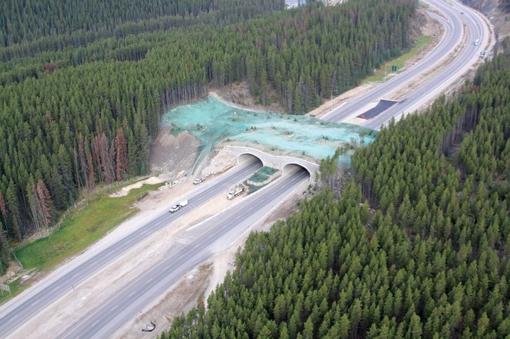 A wildlife overpass at the landscaping stage near Lake Louise.