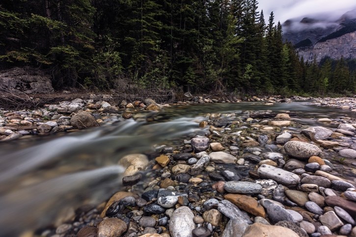 Cascade Creek flows alongside the Legacy Trail in Banff on Tuesday (May 29). The creek, formerly a river, is now flowing again after being a mere trickle.
