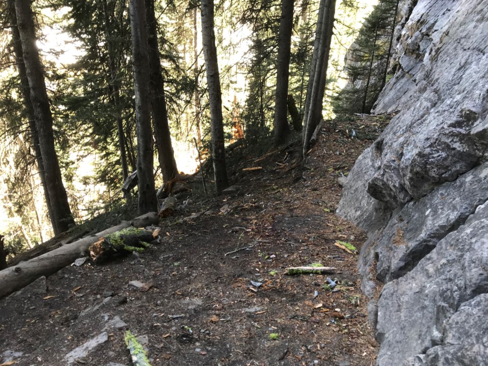 High winds toppled a tree onto a group of rock climbers near Lake Louise, critically injuring a man in his mid-twenties on June 13. Two others suffered moderate injuries.