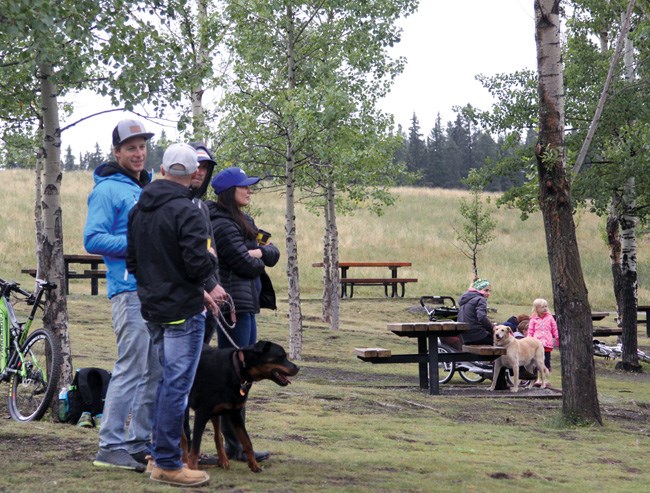 dogs at quarry_dw_0063