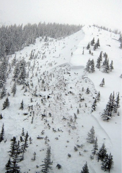 A backcountry skier survived this slide on Mt. Sparrowhawk Jan. 29