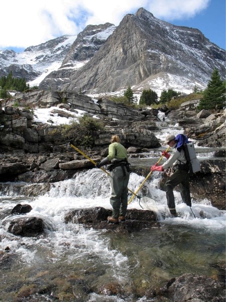 Electrofishing efforts rid the lower reach of the Clearwater River of non-native species.