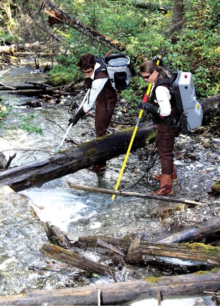 Electrofishing, such as seen in this photograph of Parks Canada Aquatics Specialist Shelley Humphries, right, and Joanne Williams at Nixon Creek in Kootenay National Park,