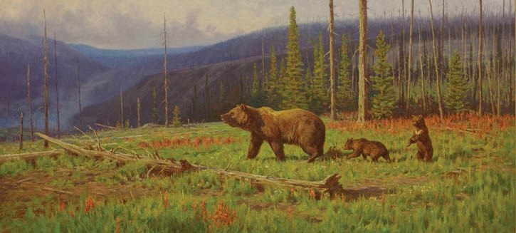 Grizzly Sow with Cubs: Yellowstone National Park, Wyoming by Dwayne Harty