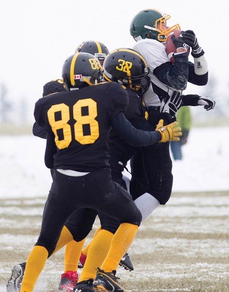 Bow Valley Wolverines player Shep Howatt catches a pass while being covered by three Olds High School Spartans during their playoff game at Normie Kwong Park in Olds on