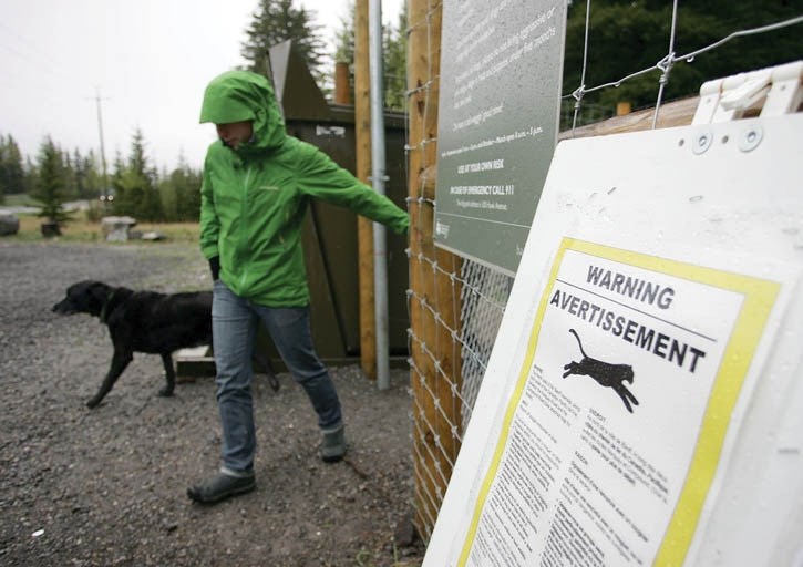 A Cougar warning alerts users of the Banff off-leash dog area of a cougar in the area.