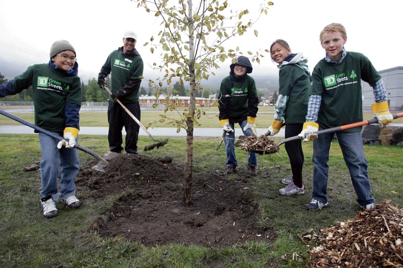 School students (L to R) Yuan Razon, Jeffrey Smilie, Mariah Arandala and Alfie Phillips plant a poplar tree with Town of Canmore employee Andrew Cochran during Thursday’s