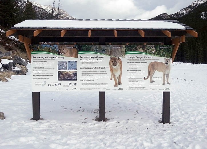 Cougar signage at the aptly-named Cougar Creek trailhead.