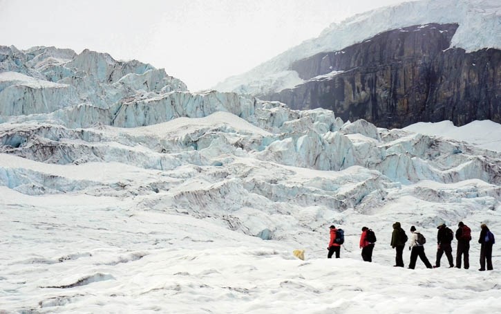 Guide Peter Lemieux (left, red jacket), with his dog George, leads a group towards the cracked and jumbled lower icefall on the Athabasca Glacier.