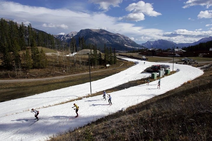 Skiers navigate the man-made highway of snow on the opening day of cross-country skiing on the Frozen Thunder track at the Canmore Nordic Centre.