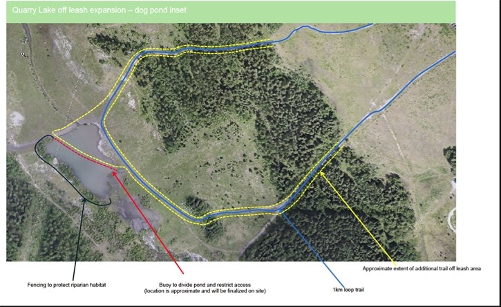 Canmore is expanding the off-leash dog area at Quarry Lake to include a one-kilometre trail loop and part of a nearby pond as part of a one-year pilot project.