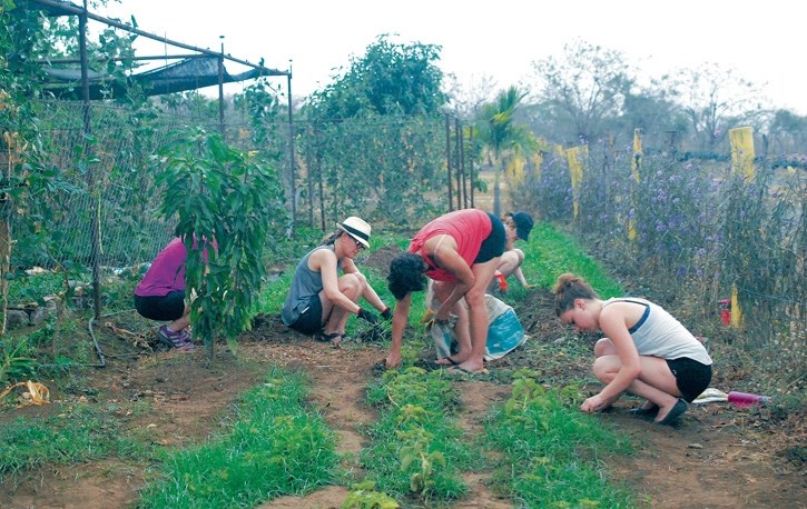 Canmore volunteers, top photo, pull weeds in a Nicaraguan orphanage garden.