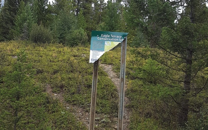 Vandalized trail signage recently installed in Eagle Terrace on land managed by the Alberta Conservation Association.