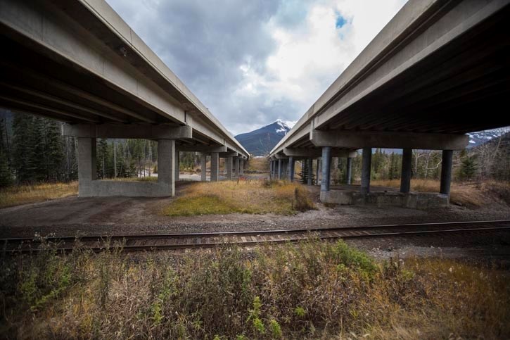 A federal occupational health and safety investigation into the death of a Parks Canada employee, who was found under the Sunshine Village access road underpass earlier this