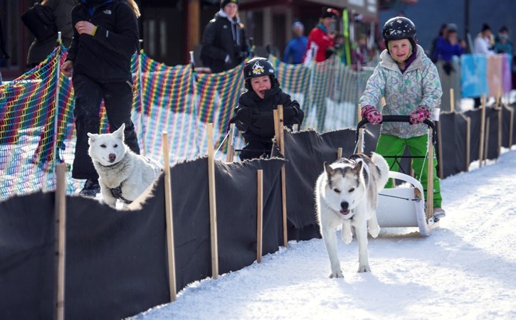 Canmore-based Canadian Coalition for Sled Dogs (CCSD) is advocating for standards that would ensure ethical treatment for animals in sled dog touring, racing and recreational 