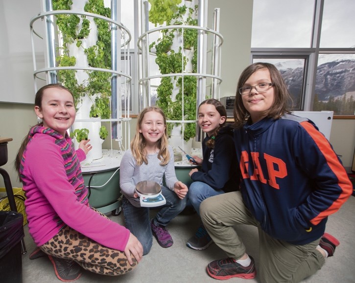 Sasha Boucher, left, along with Erie Gonzalez, Daisy Buziak, and Madeleine Cross pose next to a vertical hydroponics farm for basil in their classroom at école Notre-Dame des 