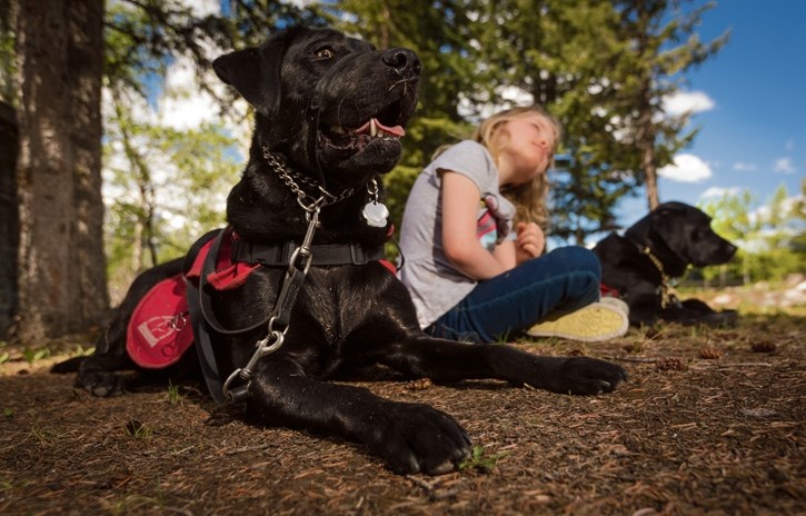 Jacoba Scott sits with service dogs Gus and Hedi outside Elizabeth Rummel School in Canmore on Tuesday (May 23).