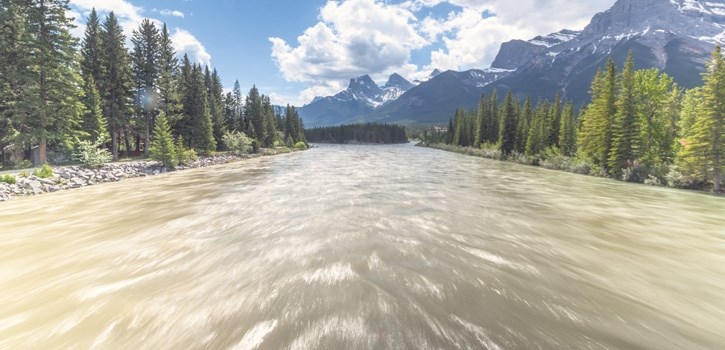 The Bow River flows past the community of Canmore on Sunday (June 4).