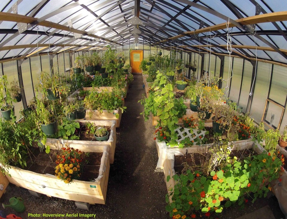 Banff Greenhouse