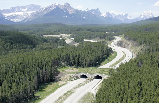 wildlife_overpass_aerial7517crop