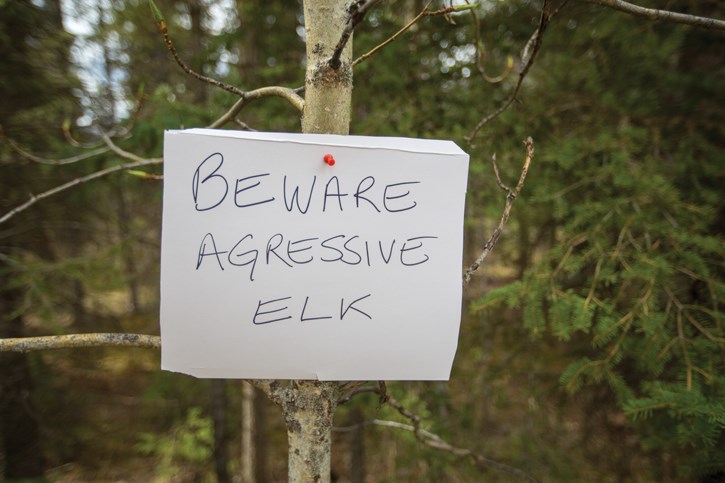 Elk Warning Sign
