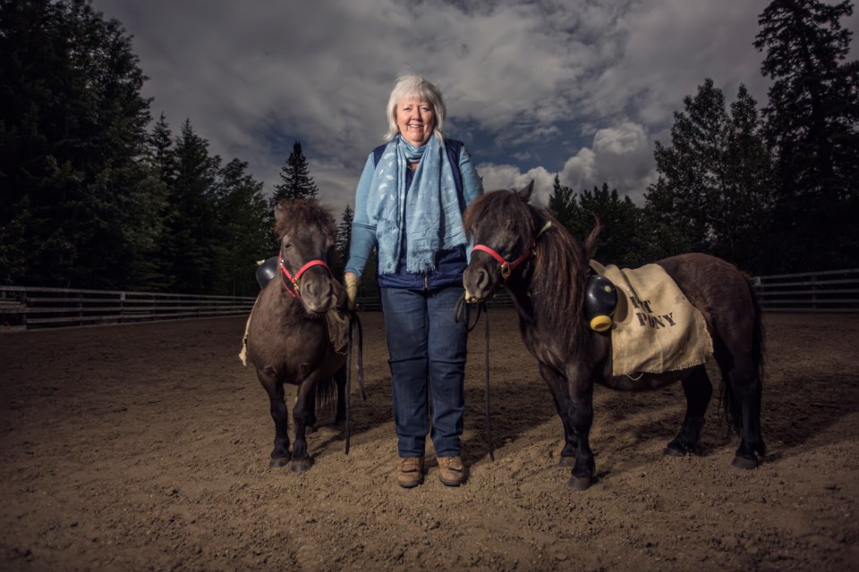 Cheryl McTrowe stands with her miniature horses Koko and Kola at the Bow Valley Riding Association in Canmore. The horses stand in every year at the Miners’ Day Parade for the rich history of pit ponies used in the mines. (Aryn Toombs/Rocky Mountain Outlook)