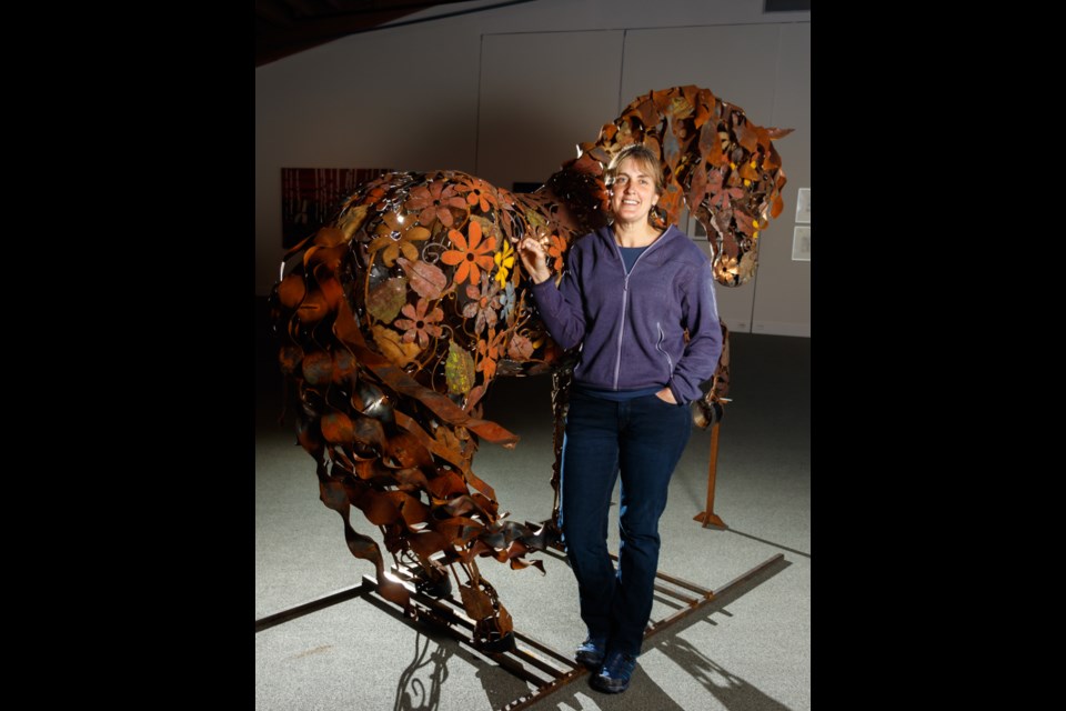 Canmore artist Cedar Mueller showcases her found metal sculpture Ferdinand the horse Monday (Jan. 6) on display at the Whyte Museum in Banff. CHELSEA KEMP RMO PHOTO