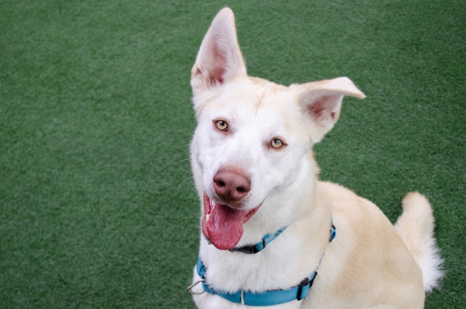 butters-a915173