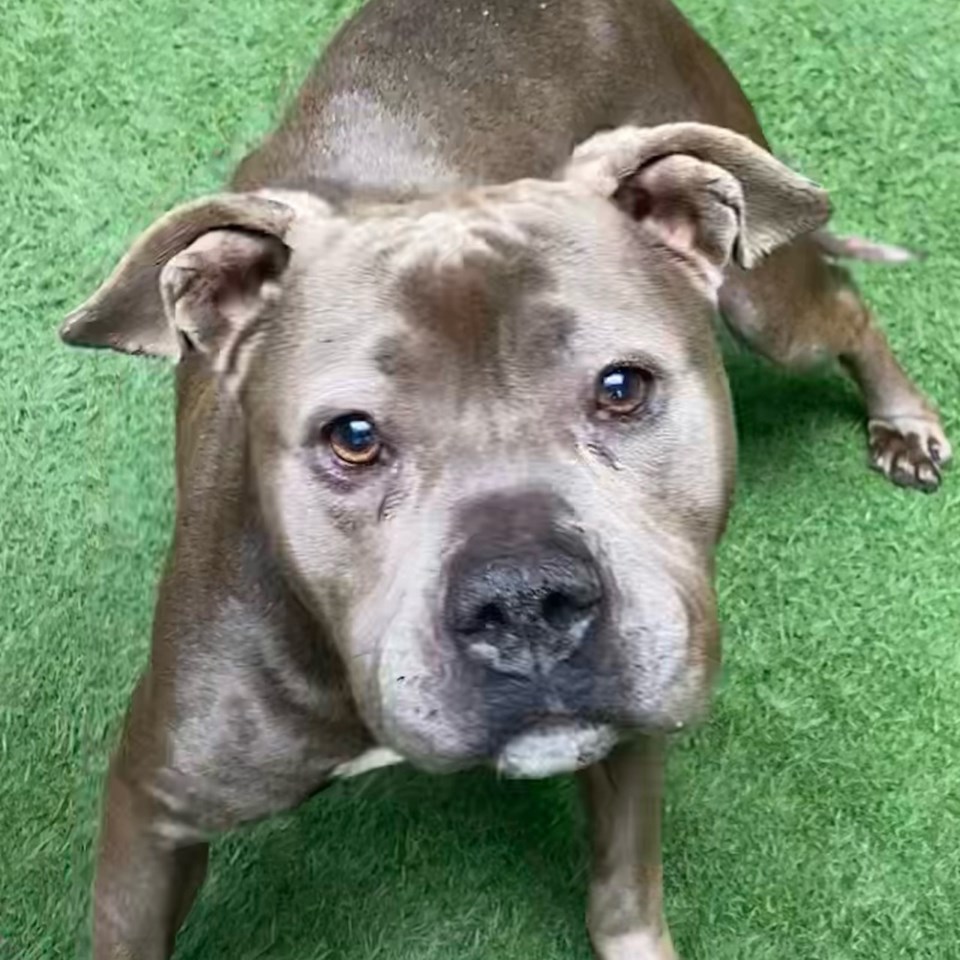 ethel-a925296