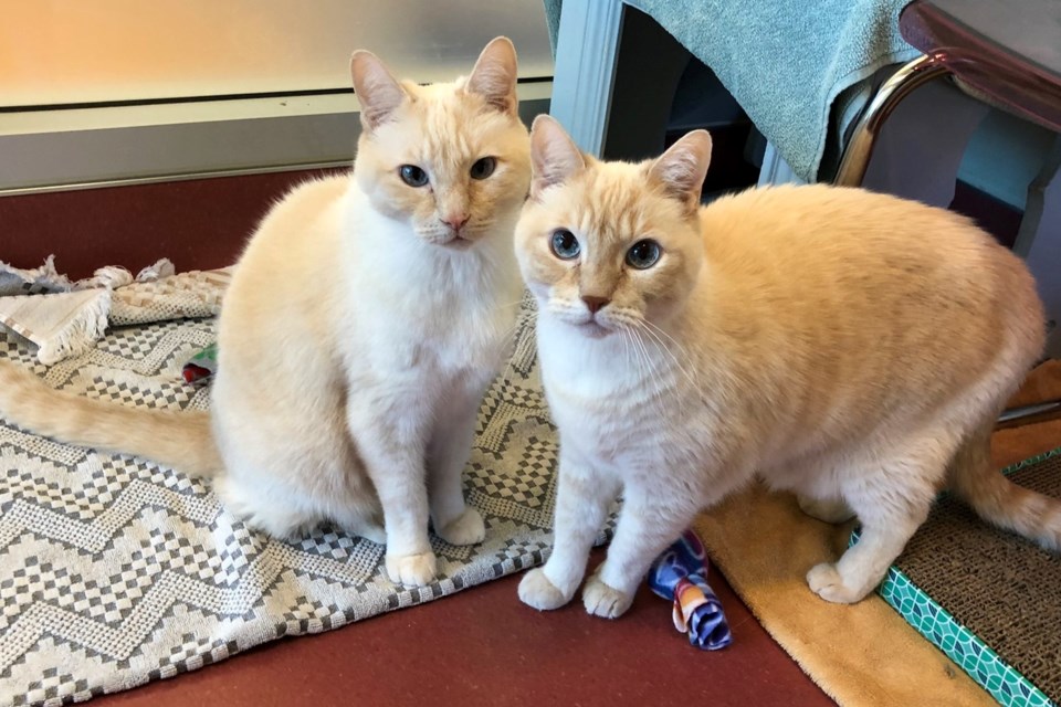 Sam & Louie
