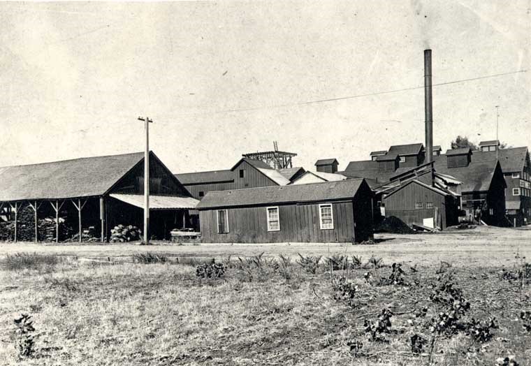 beeger-tannery-lhr