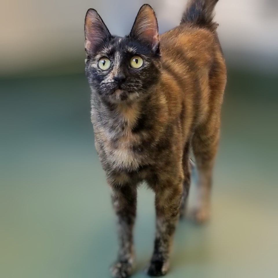 griselda-a897074