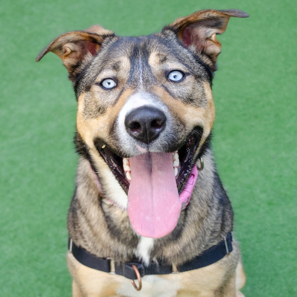azora-a928524