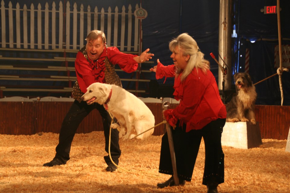 dog-act-circus-zoppe