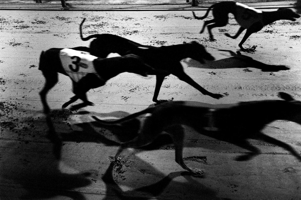 gettyimages-51695060