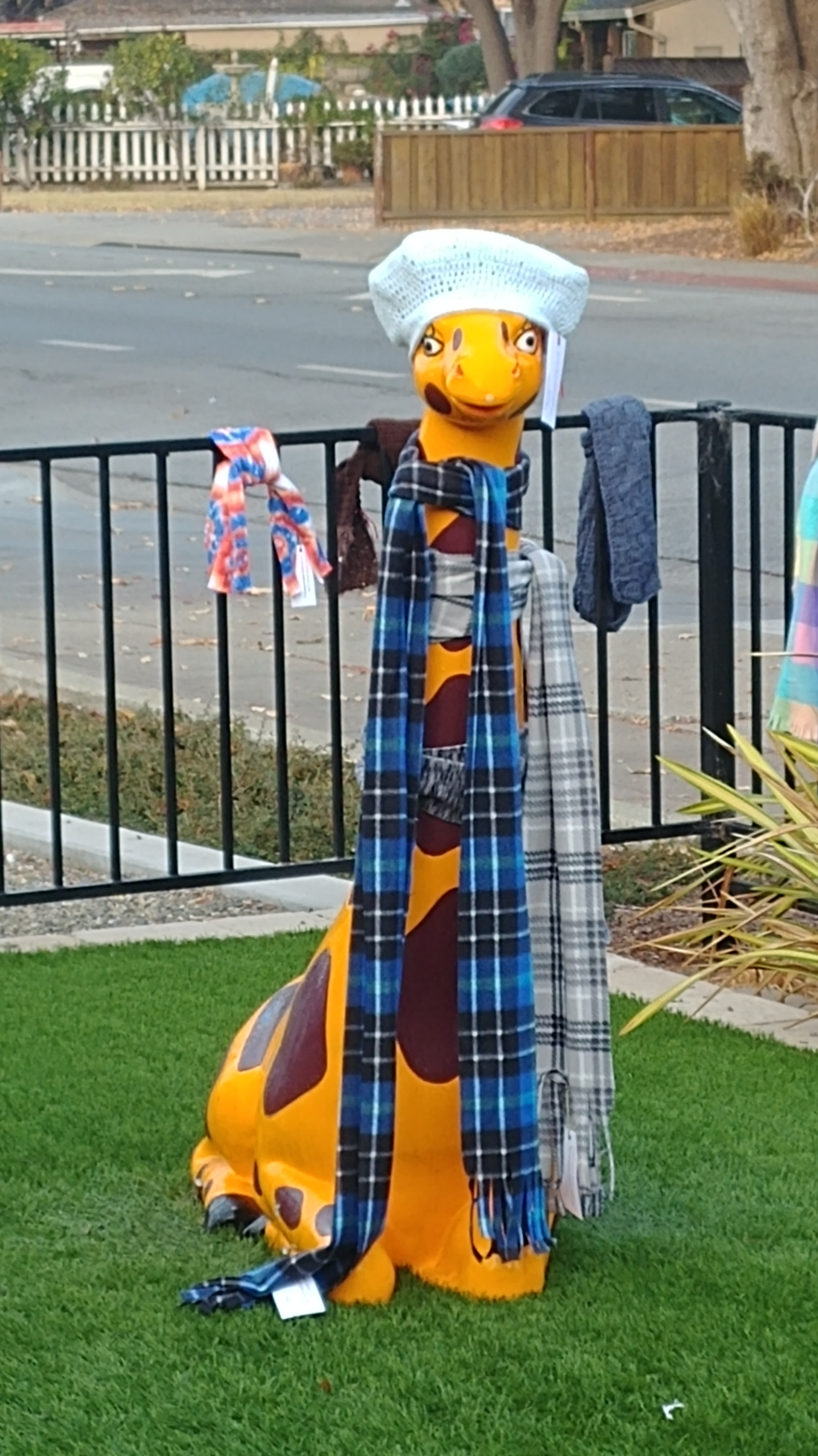 giraffe