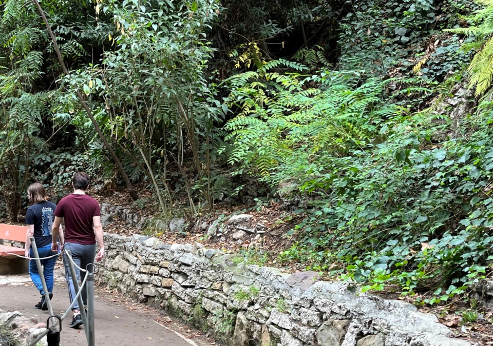 hikers-on-a-trail_2