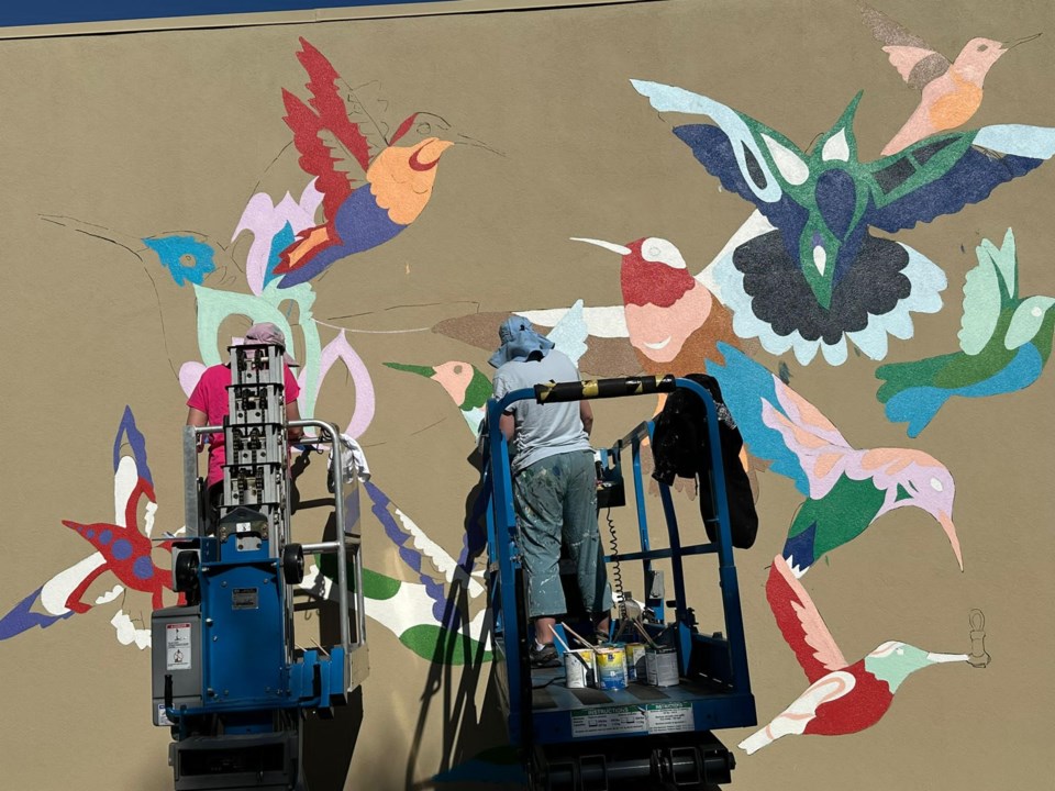 kelsey-montague-hard-at-work-on-sept-13-creating-artwork-based-on-hummingbirds-for-palo-alto-skin-clinic-photo-by-suman-mudamula