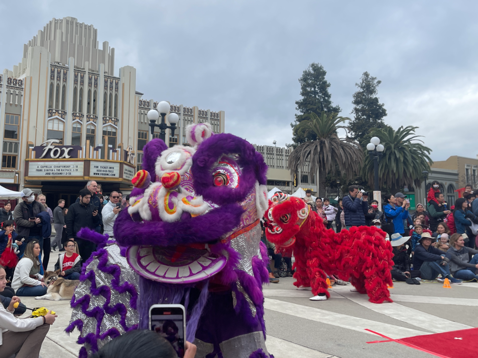 Lion-Dancer
