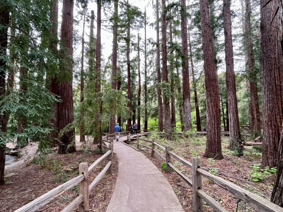 losaltos1