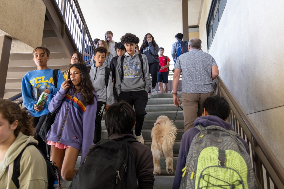 pawzitivity_menlopark_2023_web-1