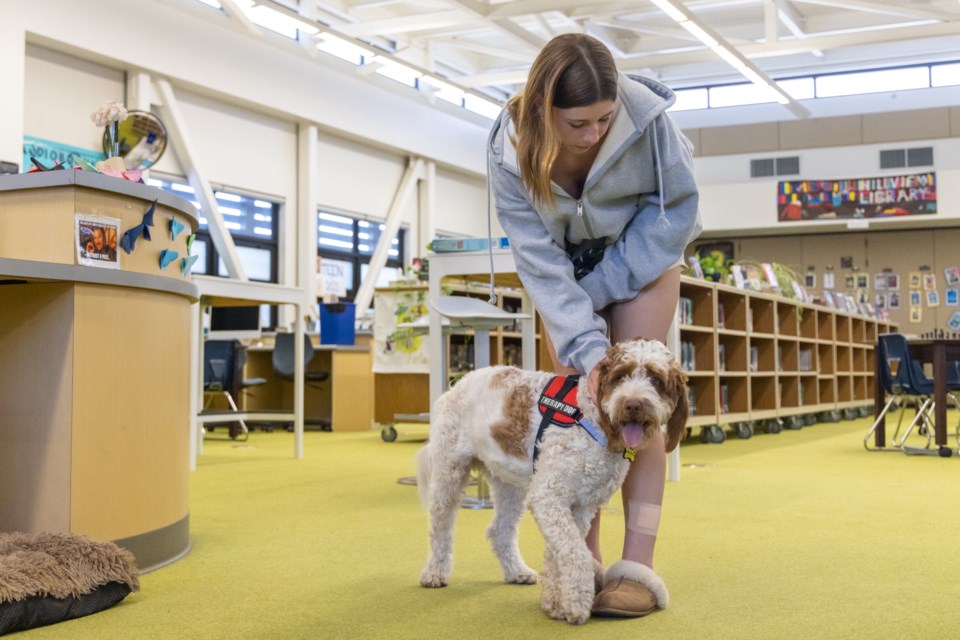 pawzitivity_menlopark_2023_web-10