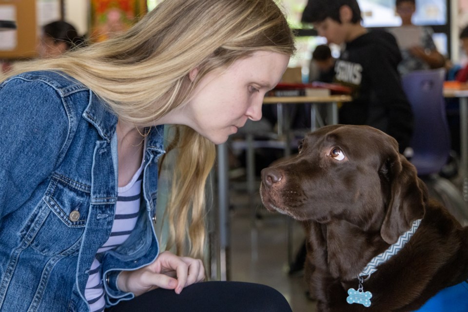 pawzitivity_menlopark_2023_web-12
