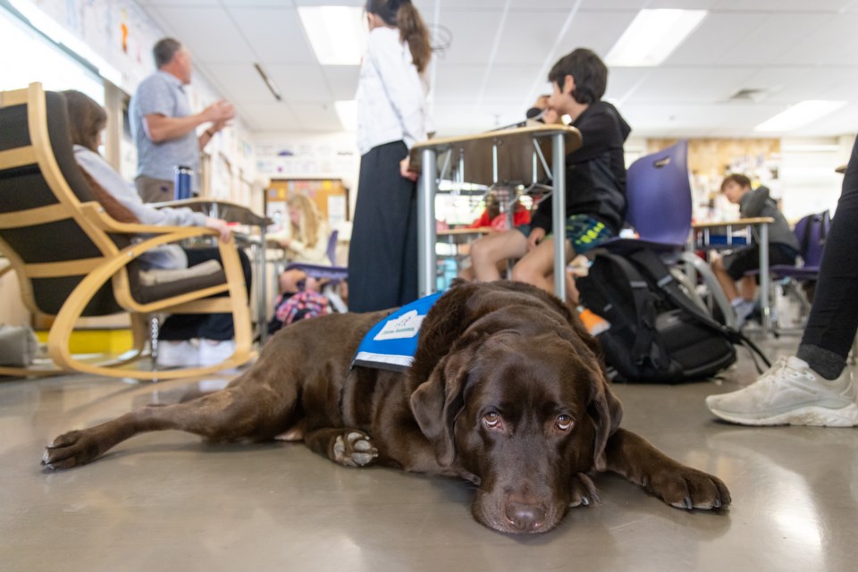 pawzitivity_menlopark_2023_web-13