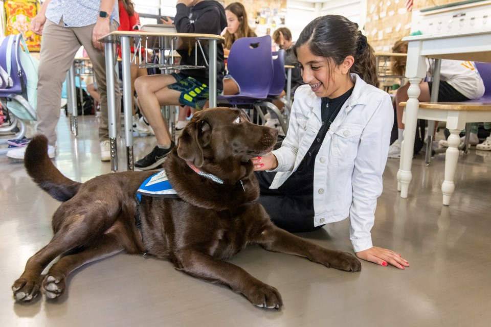 pawzitivity_menlopark_2023_web-15